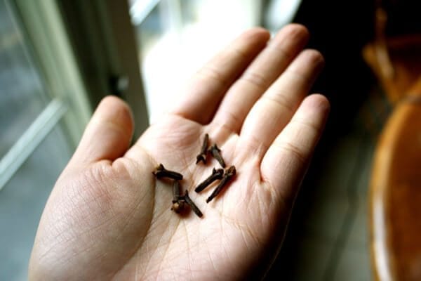 cloves by jcghk.dfhdjkvfj.cf