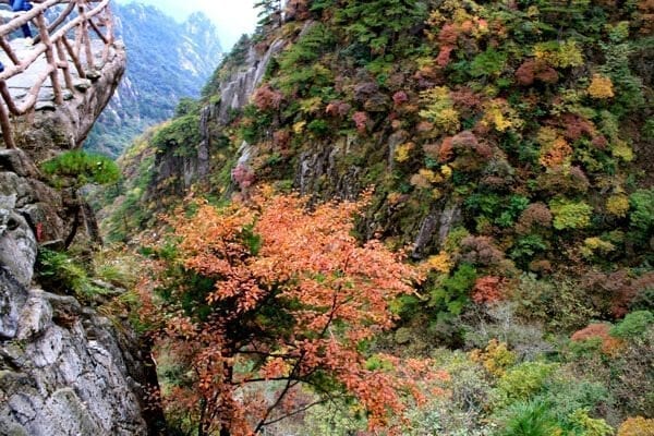 huangshan-view-7