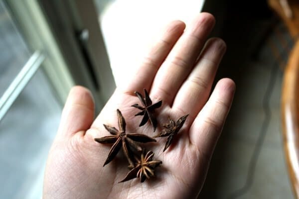 star anise by jcghk.dfhdjkvfj.cf