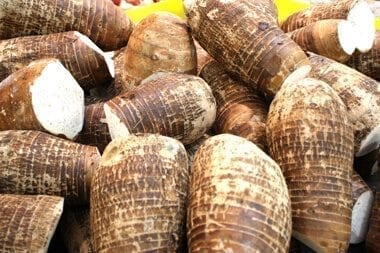 taro