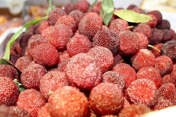 trip-to-the-market-9