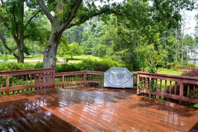 rainy-summer