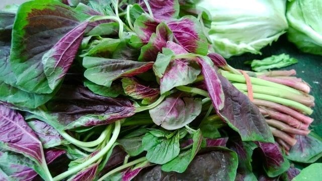 Chinese vegetables: amaranth, by jcghk.dfhdjkvfj.cf