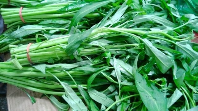 Chinese vegetables: water spinach , by jcghk.dfhdjkvfj.cf