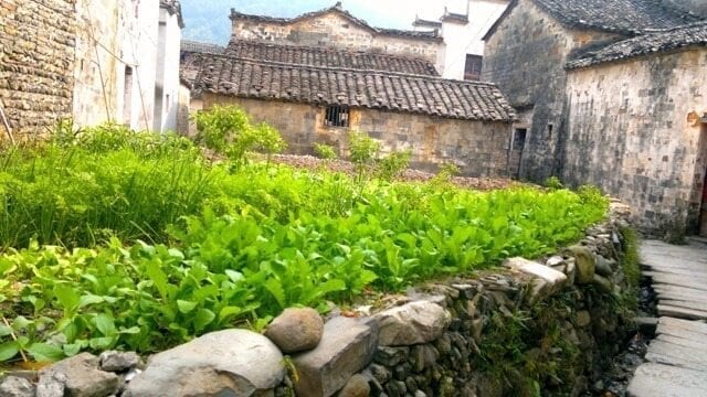 ON LOCATION IN HONGCUN, by jcghk.dfhdjkvfj.cf