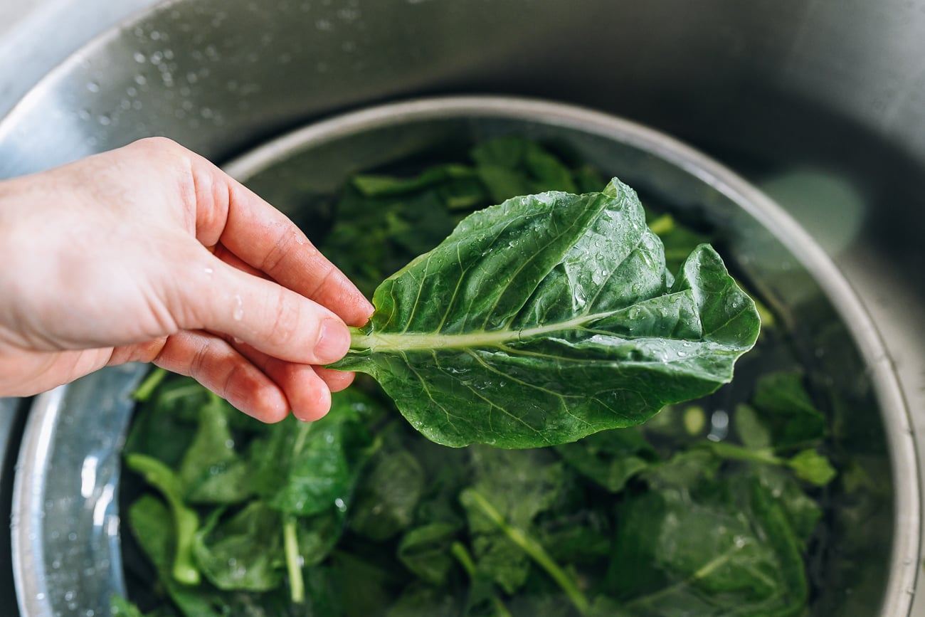 Chinese Broccoli Leaf
