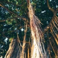 16 Reasons Why Hawaii is Pretttttty Much The Bomb, by jcghk.dfhdjkvfj.cf
