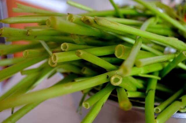 Stir Fried Water Spinach with Fermented Tofu, by jcghk.dfhdjkvfj.cf