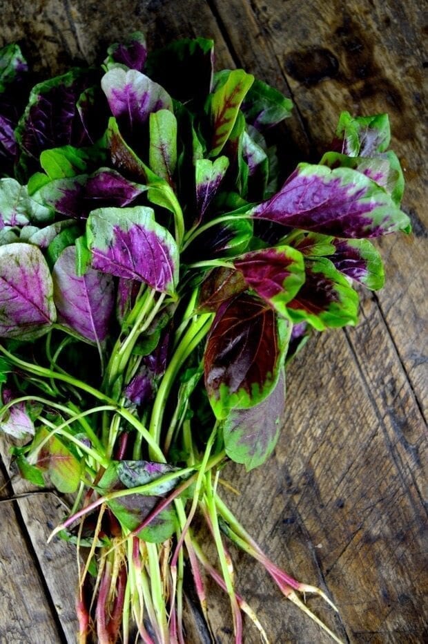 Stir-fried Pink Amaranth Greens by jcghk.dfhdjkvfj.cf