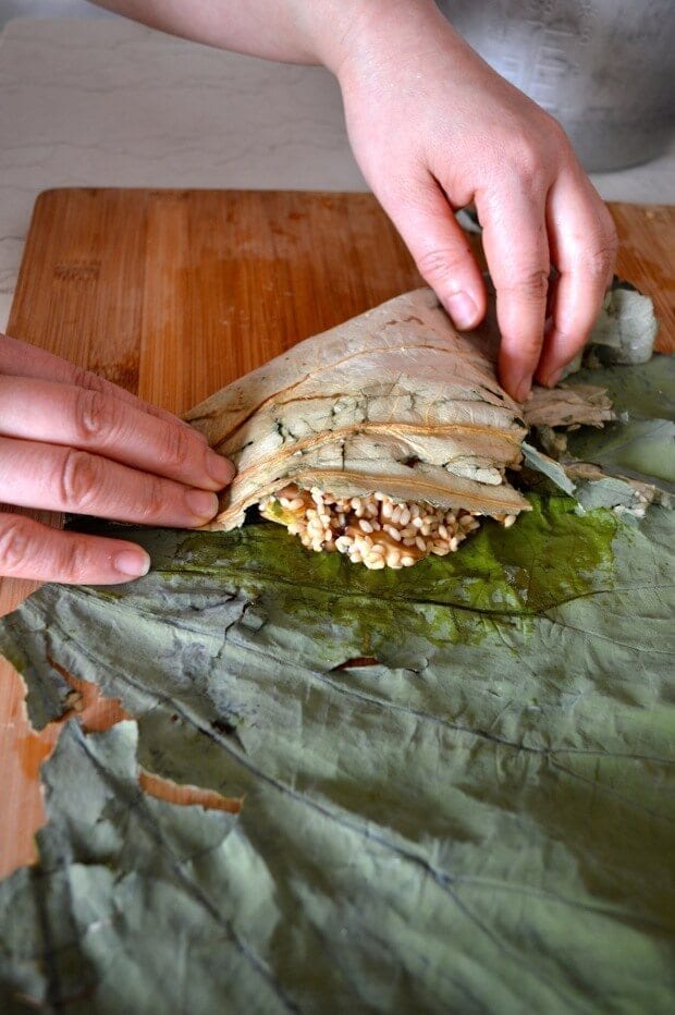 Dim Sum Sticky Rice Lotus Leaf Wraps (Lo Mai Gai), by jcghk.dfhdjkvfj.cf