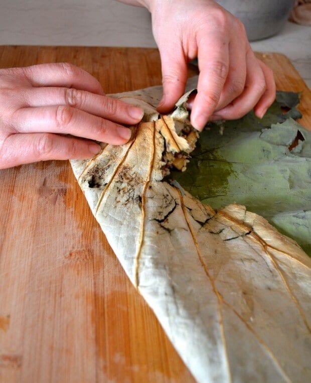dried lotus leaves
