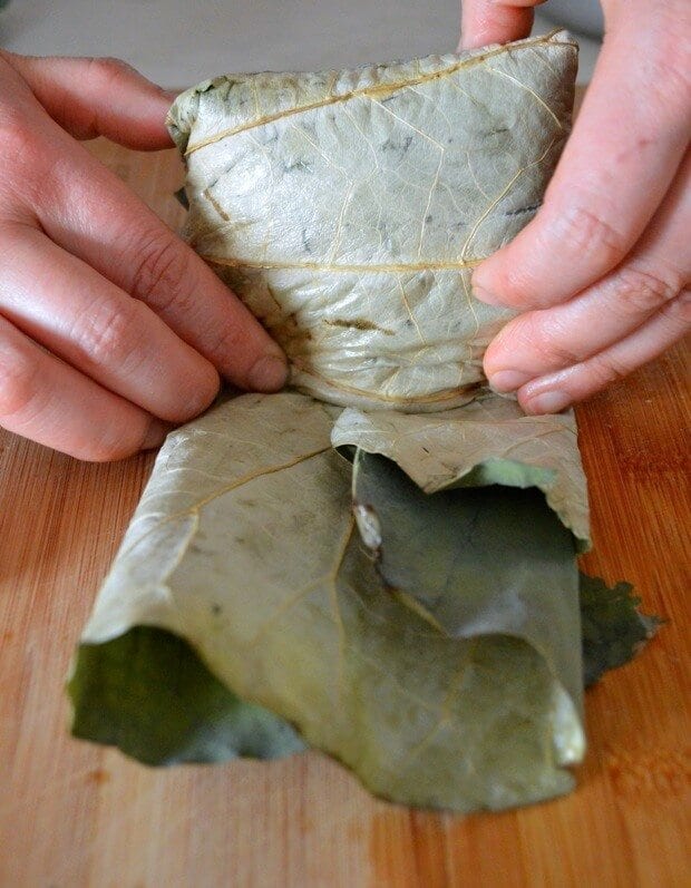Dim Sum Sticky Rice Lotus Leaf Wraps (Lo Mai Gai), by jcghk.dfhdjkvfj.cf