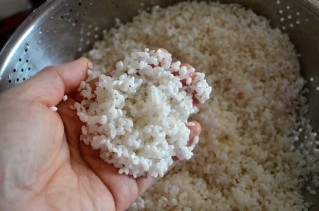 sticky-rice