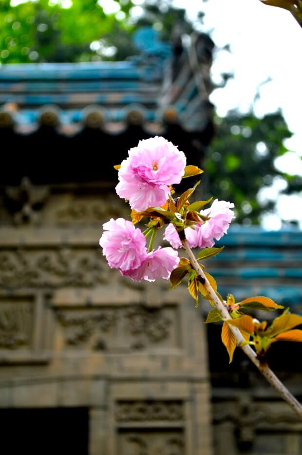 A Trip to Huashan and Xi'an by jcghk.dfhdjkvfj.cf 