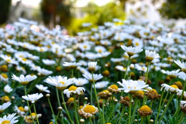 How to See Istanbul In One Day by jcghk.dfhdjkvfj.cf