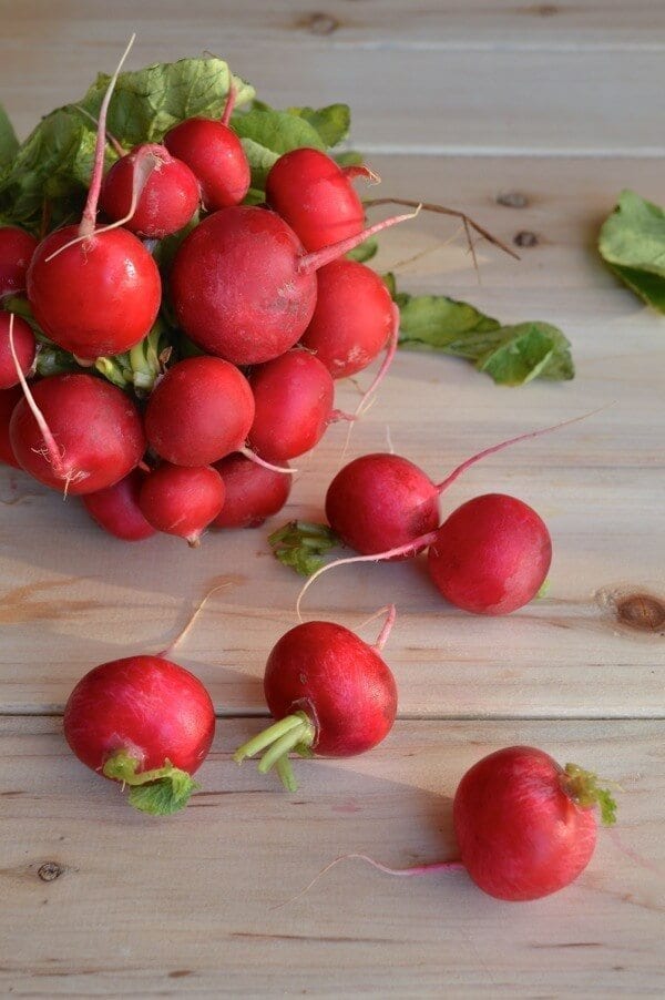 Fresh Radishes by jcghk.dfhdjkvfj.cf 
