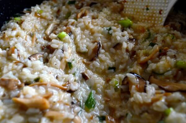 Roast Chicken on Wild Mushroom Sticky Rice "Risotto" by jcghk.dfhdjkvfj.cf