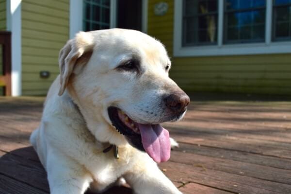 Our Jake by jcghk.dfhdjkvfj.cf