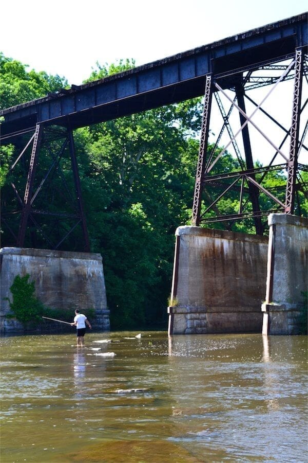 lockport tag 295
