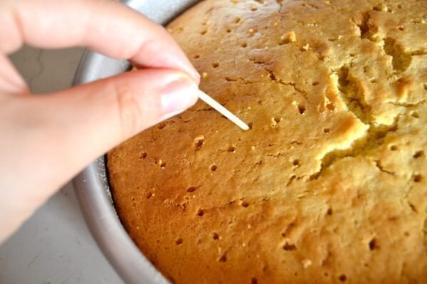 Stone Fruit Semolina Olive Oil Cake w/ Earl Grey Rose Syrup by jcghk.dfhdjkvfj.cf