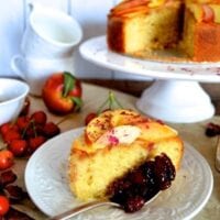 Stone Fruit Semolina Olive Oil Cake w/ Earl Grey Rose Syrup by jcghk.dfhdjkvfj.cf