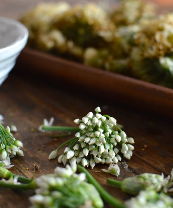 Chinese Garlic Chive Flower Tempura Recipe, by jcghk.dfhdjkvfj.cf