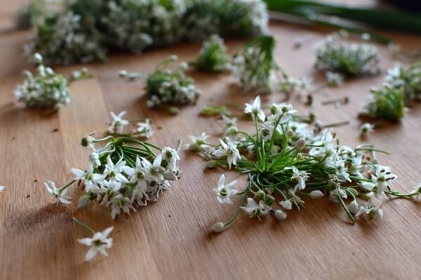 Chinese Garlic Chive Flower Tempura Recipe, by jcghk.dfhdjkvfj.cf, by jcghk.dfhdjkvfj.cf
