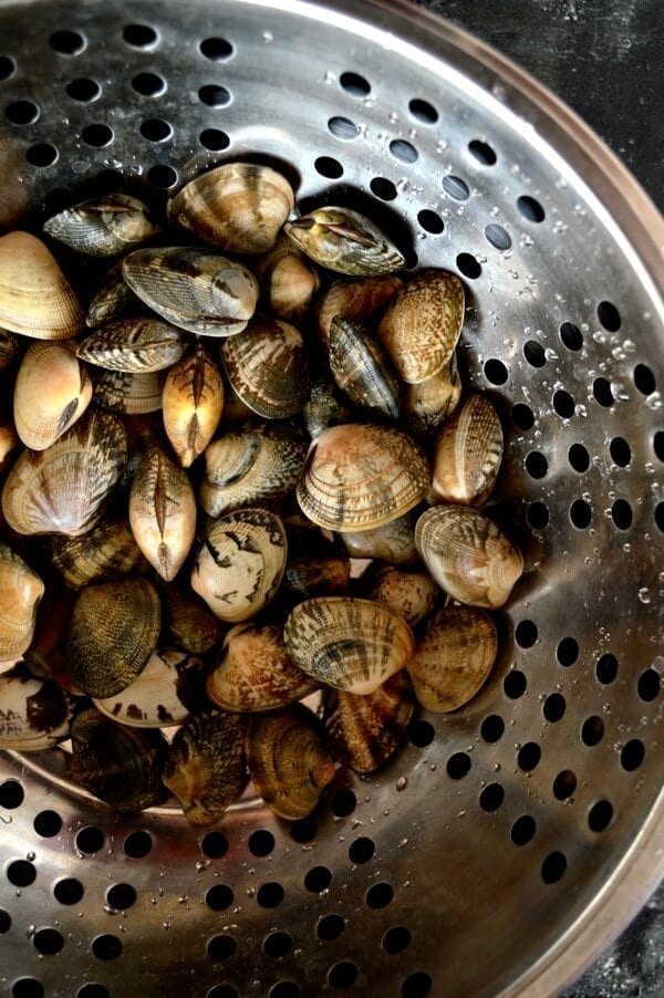 Stir-Fried Fresh Clams in Black Bean Sauce by jcghk.dfhdjkvfj.cf