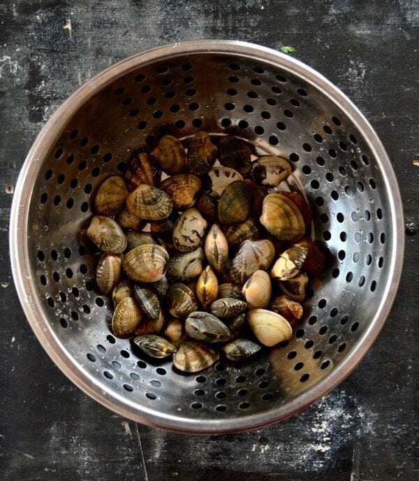 Stir-Fried Fresh Clams in Black Bean Sauce by jcghk.dfhdjkvfj.cf