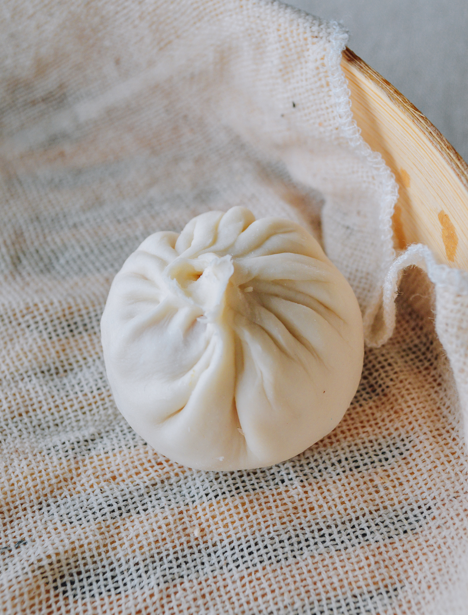 Single soup dumpling with many folds, by jcghk.dfhdjkvfj.cf