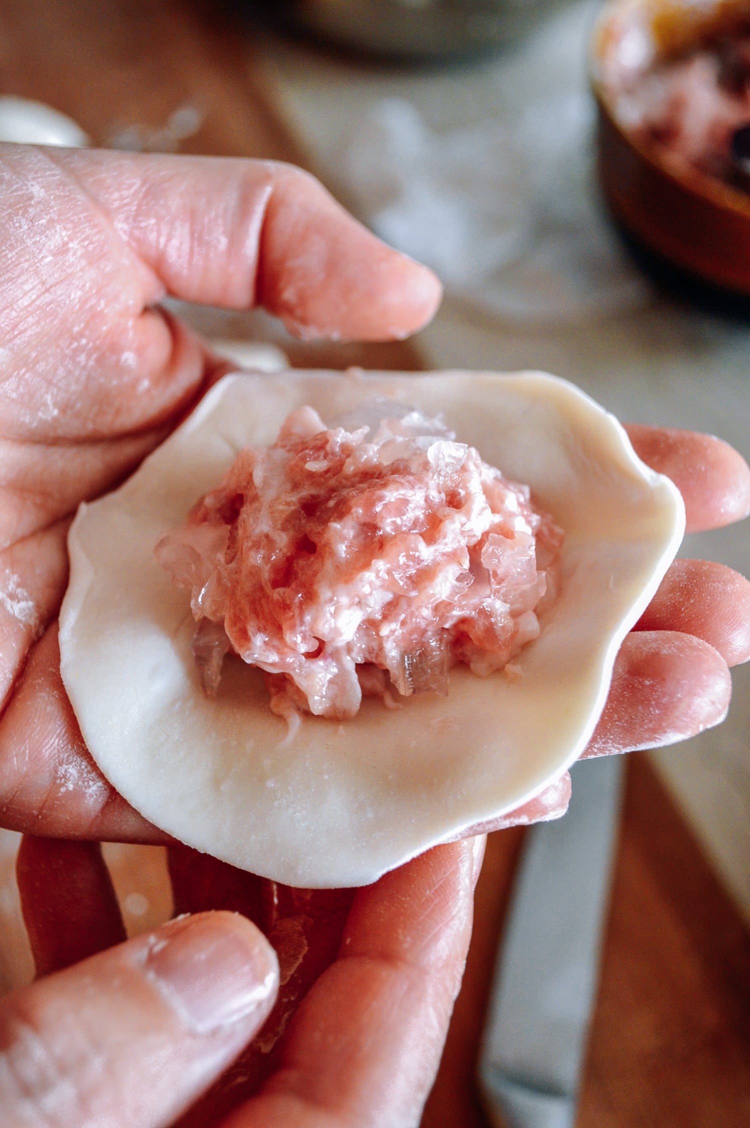 Pork and aspic filling on thin dumpling wrapper, by jcghk.dfhdjkvfj.cf