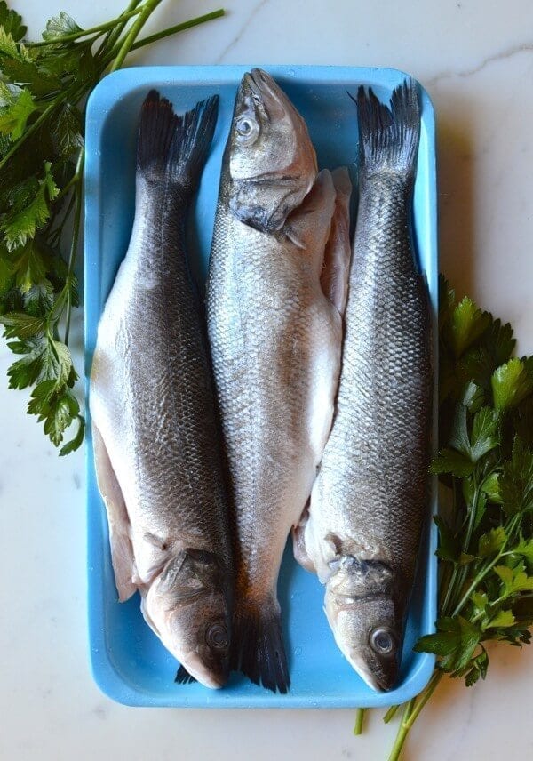 Lemon Soy Roasted Branzino, by jcghk.dfhdjkvfj.cf