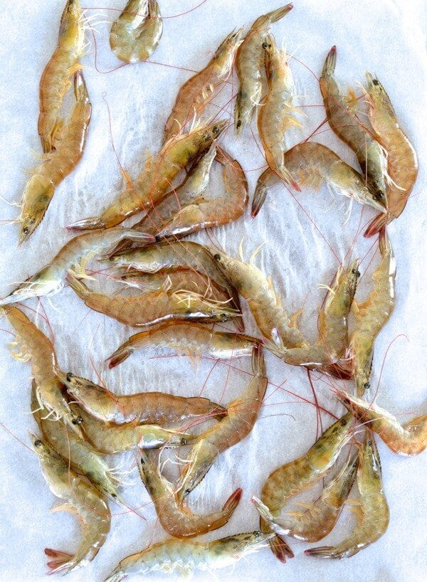 Steamed Shrimp with Glass Noodles - Two Ways, by jcghk.dfhdjkvfj.cf