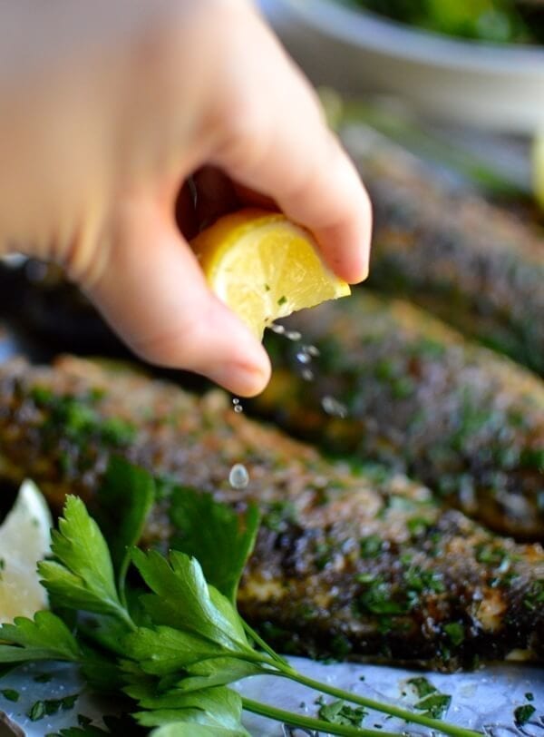 Lemon Soy Roasted Branzino, by jcghk.dfhdjkvfj.cf