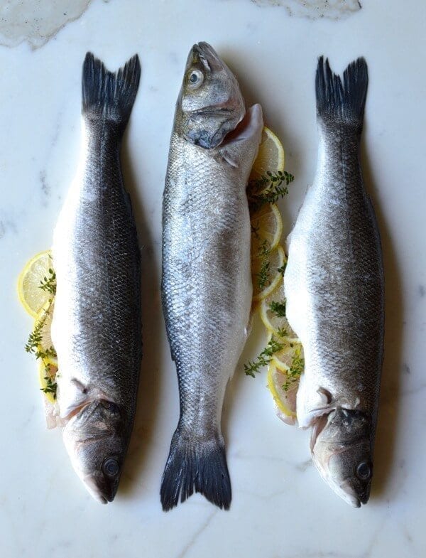 Lemon Soy Roasted Branzino, by jcghk.dfhdjkvfj.cf