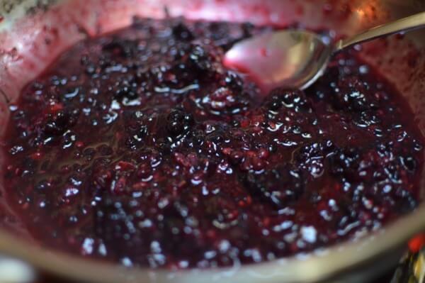 Quick Blackberry Apple Tart, by jcghk.dfhdjkvfj.cf