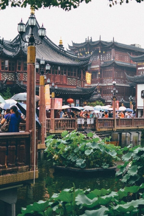 Thoughts from Shanghai, by jcghk.dfhdjkvfj.cf