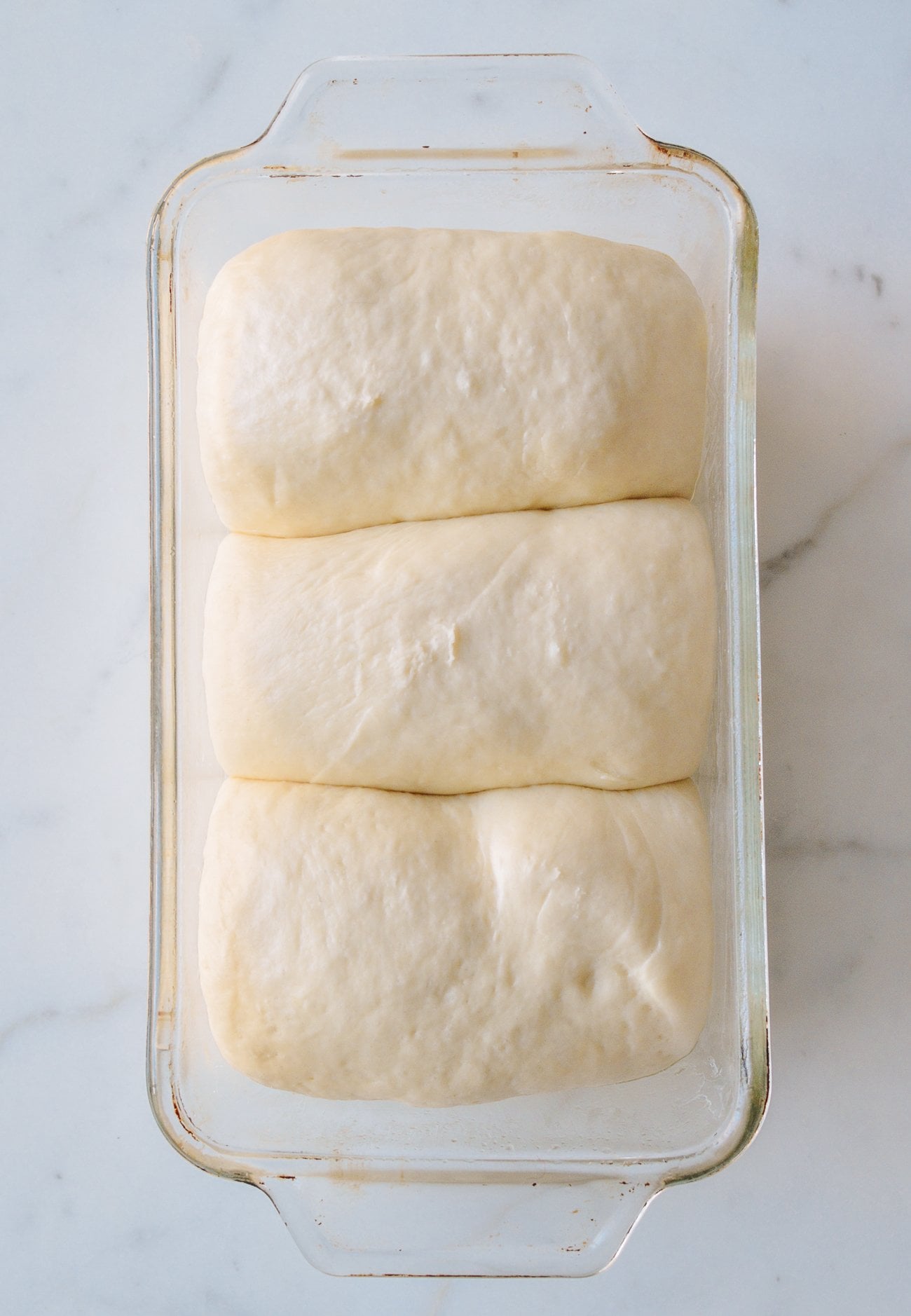 risen dough in loaf pan