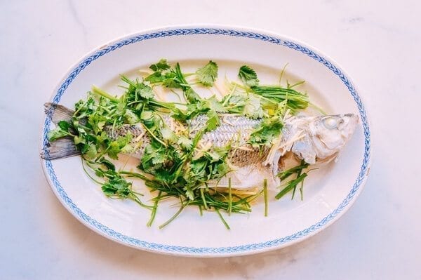 Steamed Whole Fish - Chinese Style, by jcghk.dfhdjkvfj.cf