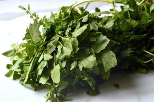 Chinese Vegetables: watercress, by jcghk.dfhdjkvfj.cf
