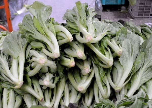 Chinese Vegetables: Chinese mustard greens, by jcghk.dfhdjkvfj.cf
