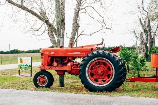 Red Tractor at Dooley Groves