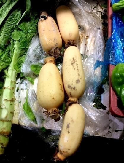 fresh-lotus-root
