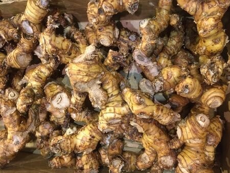 galangal