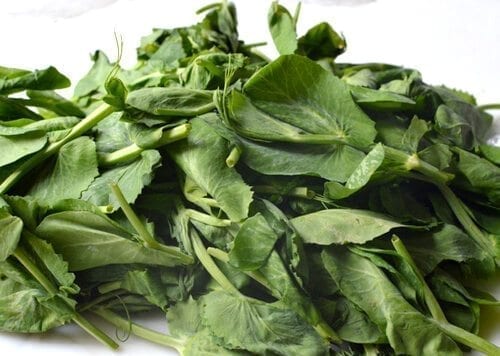 Chinese Vegetables: pea tips, by jcghk.dfhdjkvfj.cf