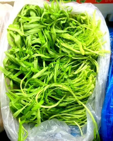 Chinese vegetables: baby water spinach , by jcghk.dfhdjkvfj.cf