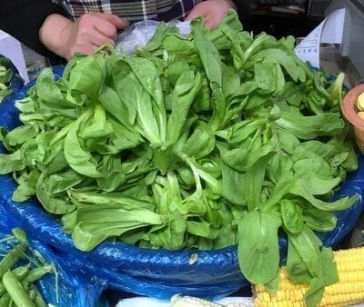 Chinese Vegetables: tong ho - large leaf, by jcghk.dfhdjkvfj.cf