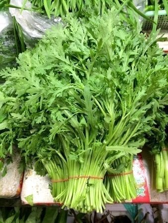Chinese Vegetables: tong ho - medium leaf, by jcghk.dfhdjkvfj.cf