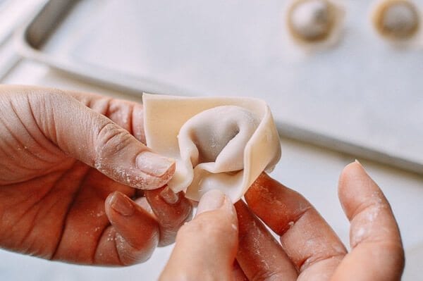 Fried Wontons, by jcghk.dfhdjkvfj.cf