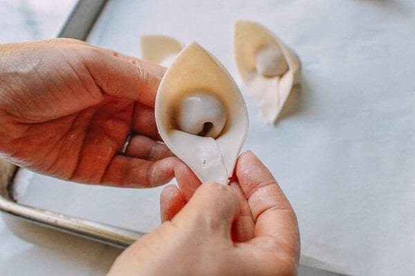 Fried Wontons, by jcghk.dfhdjkvfj.cf